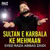 Syed Raza Abbas Zaidi - Sultan E Karbala Ke Mehmaan - Single